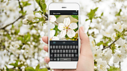 Find Photos with Mobile Reverse Image Search from Shutterstock
