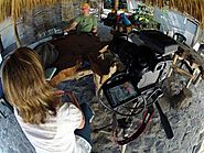10 Quick Interviewing Tips for Documentary Filmmakers