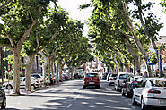 Calle Carnicerías