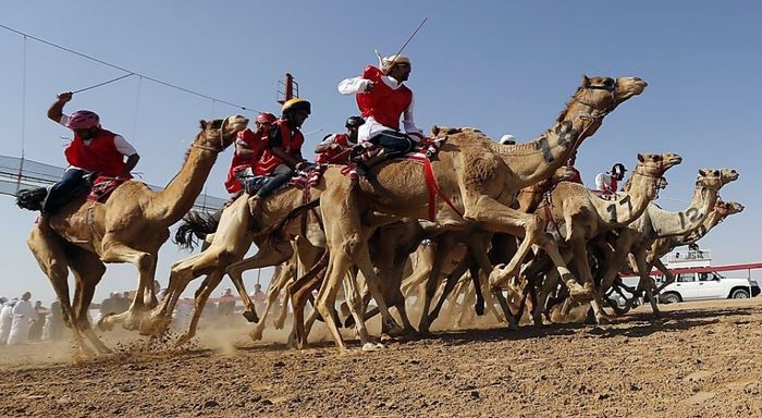 Oman Festivals | A Listly List