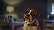 The John Lewis Christmas Ad Is Here. Does It Ease the Pain of 2016, or Add to It?