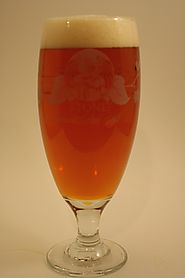 American IPA