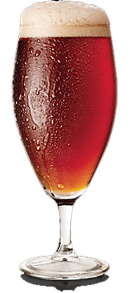 Belgian Strong Ale