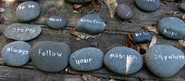 What does project management mean to me?
