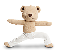 Meddy Teddy