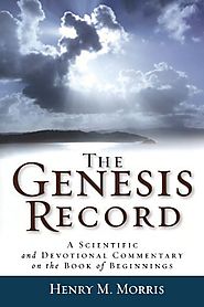 The Genesis Record