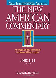 John (two volumes; NAC)