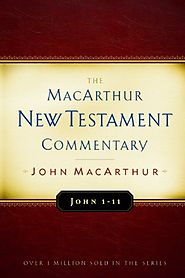 John (two volumes; MNTC)