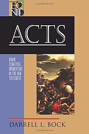 Acts (BECNT)