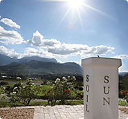Haute Cabrière - Franschhoek Winery | Home of Pierre Jourdan and Haute Cabrière