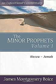 The Minor Prophets: Hosea, Joel, Amos, Obadiah, Jonah