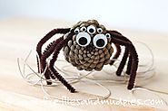 Pinecone Spiders