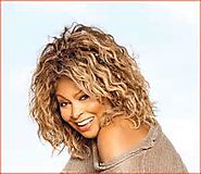 Tina Turner Costume