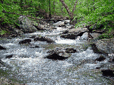 Environment Fares Well in Funding Agreement