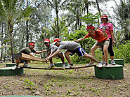 Survivor Bintan