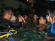 Scuba Diving Tryouts