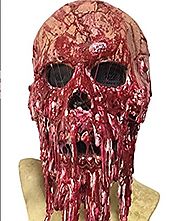 WELLIN Bloody Horror Melted Face Scary Halloween Mask Costume