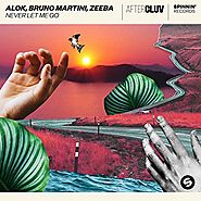 Alik, Bruno Martini, Zeeba