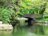 St Stephens Greens
