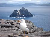 The Skellig Islands