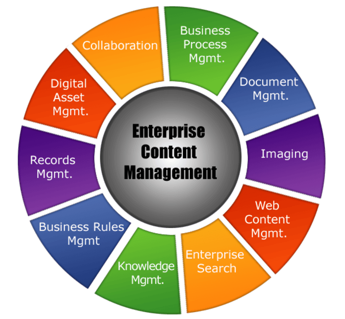 ContCentric provide Enterprise Content Management Services A