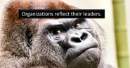Leadership Freak