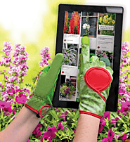 Digz Gloves
