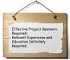 Supportive and Engaged Project Sponsor