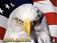 Protect the Endangered Species Act Against Sneak Attacks
