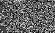 Methicillin-Resistant Staphylococcus Aureus