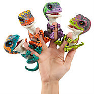 Untamed Raptors
