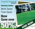 Zoysia Grass Florida