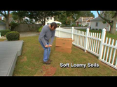 Zoysia Grass Plugs Reviews 2014
