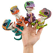 Untamed Raptors