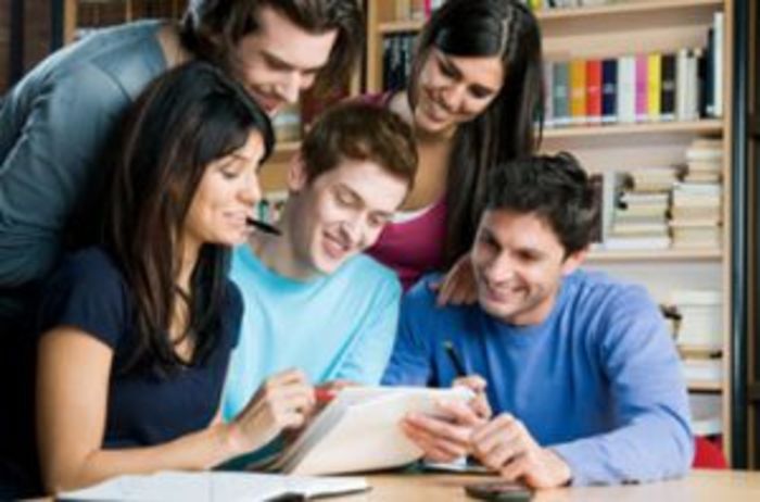 Non plagiarized essays for sale