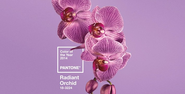 Robin De Groot Design |