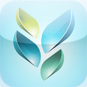 Socrative