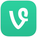 Vine
