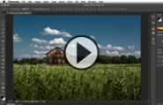 Lynda: Software training online-tutorials for Adobe, Microsoft, Apple & more