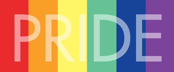 Gay Pride Organizations 105