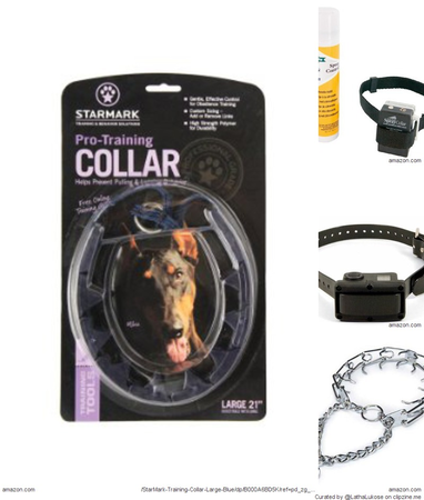 Best Safe Training Collars Dogs (Pinch, Choke, Prong ...