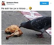 Фейк: в Украине голод и еда по карточкам