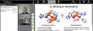 Tools for flipping your class | YuJa | Social learning and video collaboration made simple