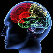 Mindfulness | The Psych Files