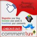 CommentLuv Plugin