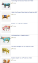 Cow Decor & Cow Collectibles