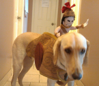 Halloween Costumes for Dogs