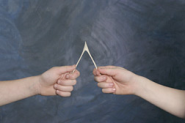 Weird Niche: Plastic Turkey Wishbones