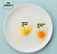 Happy Eggs