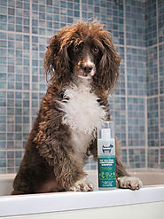 HOWND Shampoo